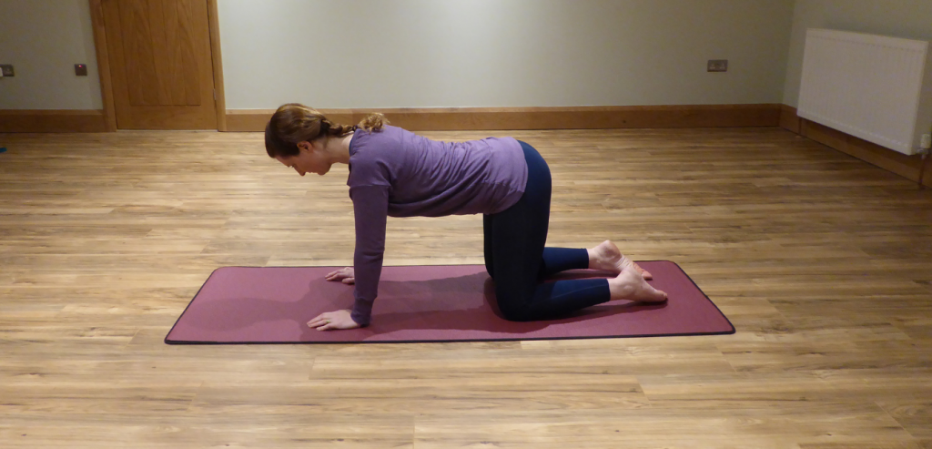 Image of Jenny doing a move from the back care programme